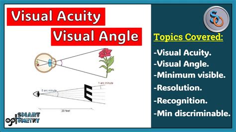 Visual Acuity and Problem-Solving Skills