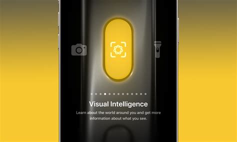 Visual Intelligence and English options