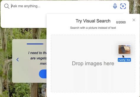 Visual Search in Chat