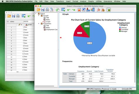Visualisasi data dalam aplikasi SPSS untuk laptop