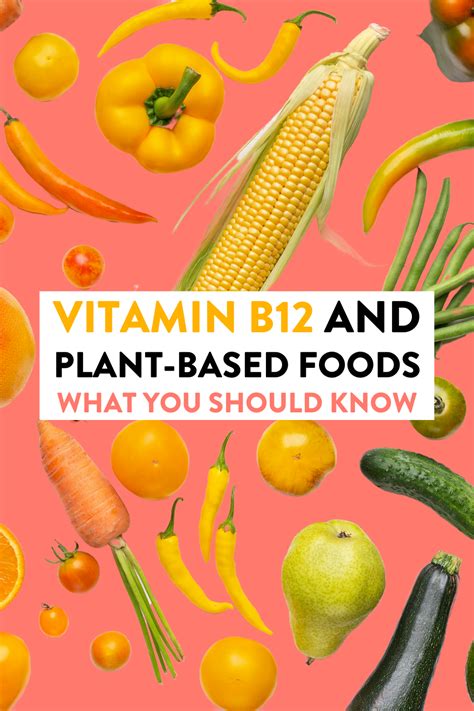 Vitamin B-12 and Veganism The Importance of Vitamin B-12 Supplementation in a Vegetarian Diet