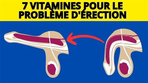 Vitamine D et Force Érectile