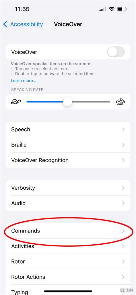 VoiceOver and Passwords