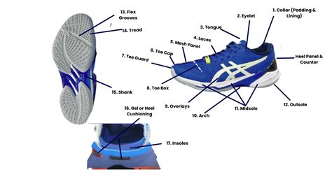 Volleyball Shoe Anatomy