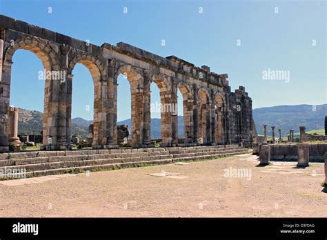 Volubilis overview