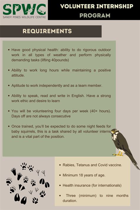 Volunteer Internship Program