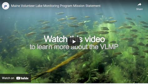 Volunteer Lake Monitoring Program