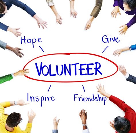 Volunteer Mentorship Programs