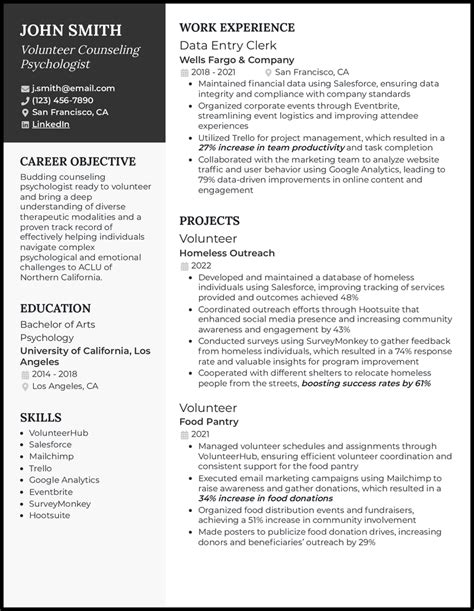 Volunteer Resume Summary Examples
