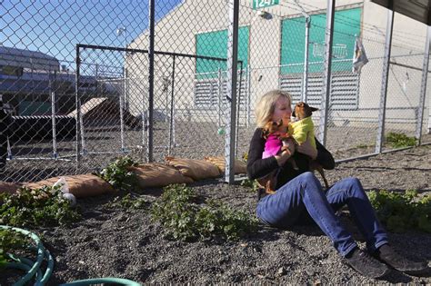 Volunteer Sonoma County Animal Shelter