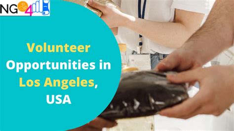 Volunteer Work Los Angeles