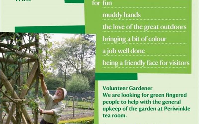 Volunteering With The National Trust
