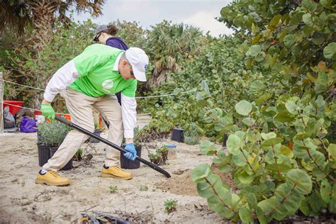 Volunteering In Broward County