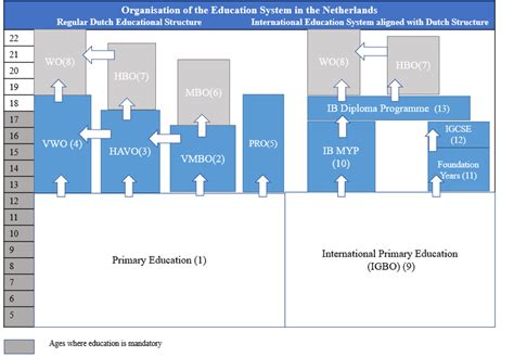 Safiyyah - History tutor - 8$/h