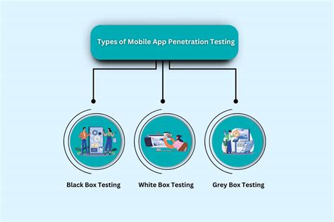 WWW App Penetration Testing Types :