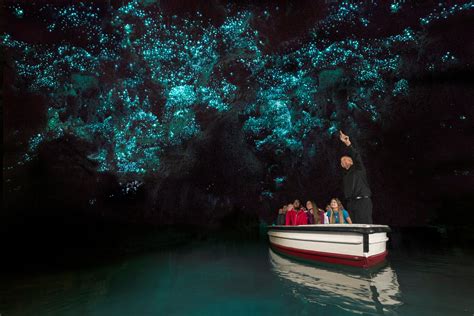 Waitomo Caves Hotel Activities