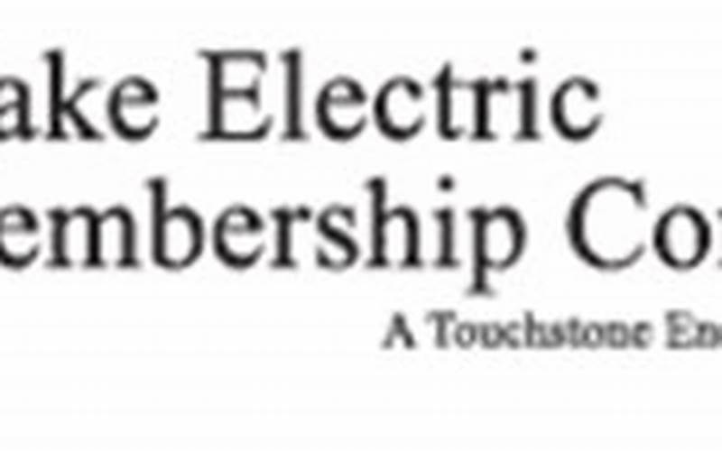 Wake Electric Logo