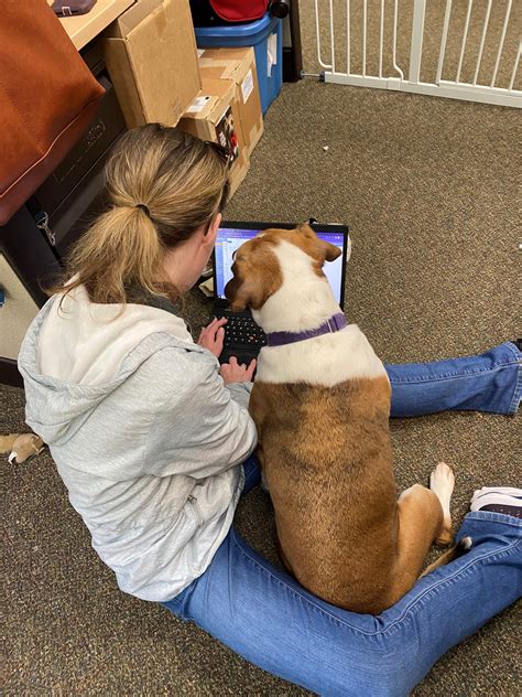 Wake County Volunteer Registration