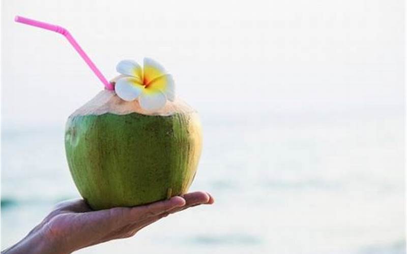 Waktu Yang Tepat Untuk Minum Air Kelapa