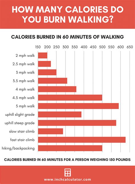 Walking Burning Calories