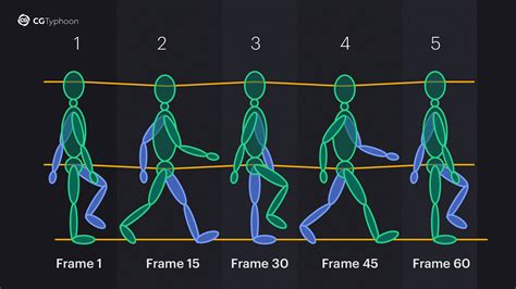 Walking Cycle Animation
