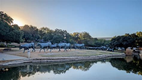 Walking Events 2024 Dallas