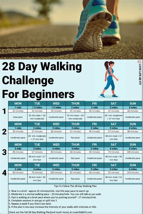 Walking To Lose Weight Calculator