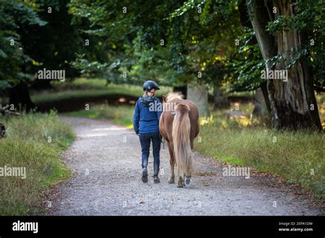 Walking in Dyrehaven