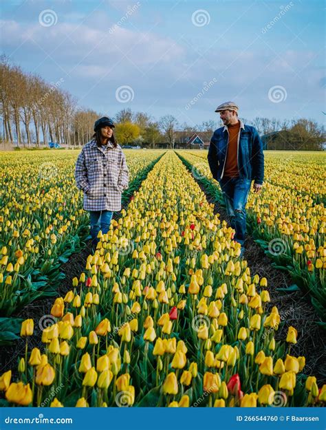 Walking in Tulip Field
