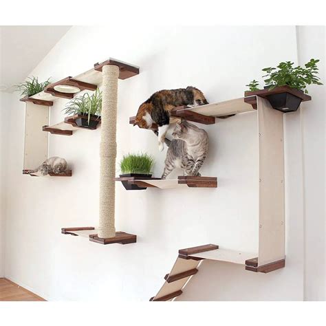 Wall Mounted Cat Shelves Decor IdeasDecor Ideas