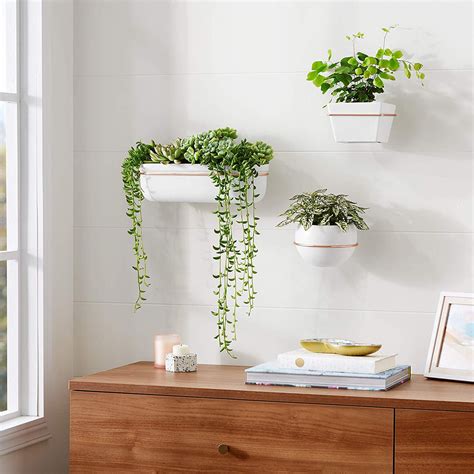 3Tier Ceramic and Leather Hanging Planter Hanging planters, Hanging plants, Wall mounted planters