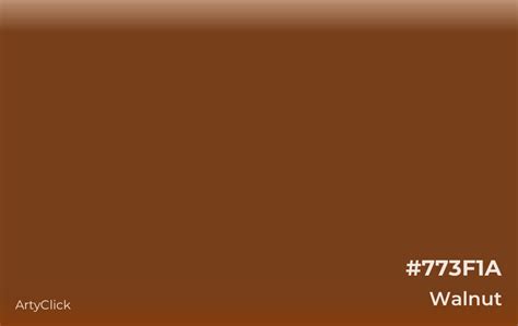 Stunning Walnut Paint Color for a Sophisticated Look