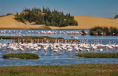 Walvis Bay Lagoon