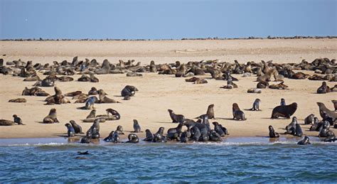 Walvis Bay experience