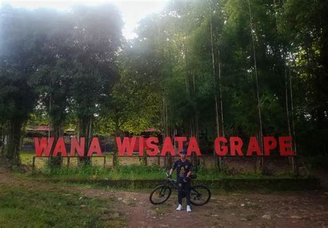 Wana Wisata Grape