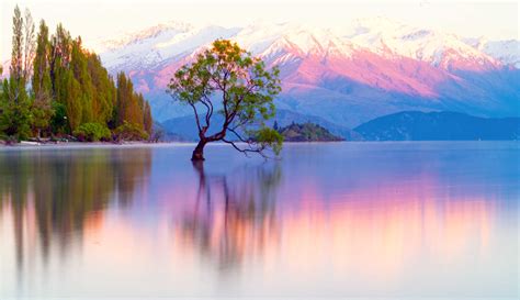 Wanaka Attractions