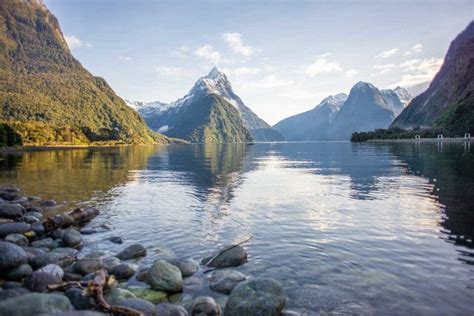Wanaka Milford Sound Flight & Cruise: A Detailed Review
