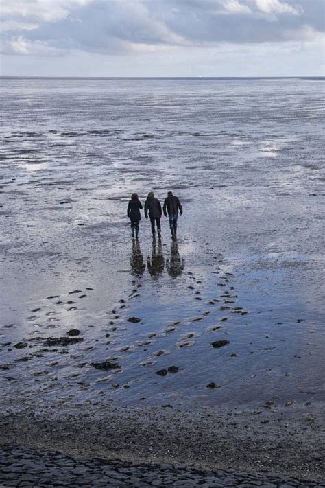 Wandelen over de Waddenzee