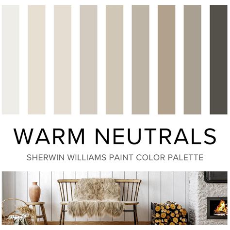 Warm Neutrals: The Everyday Go-To