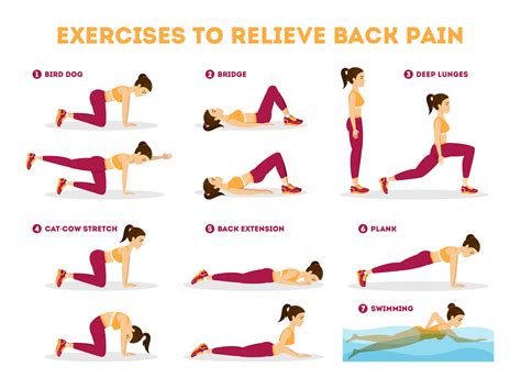 Warm Up Exercises Lower Back Pain