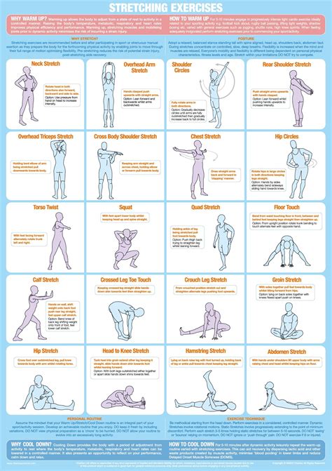 Warm Up Exercises Workplace