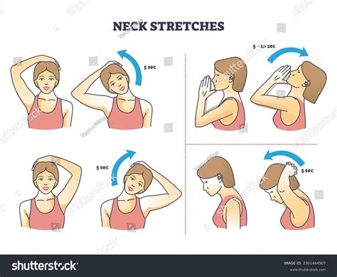 Warm Up Neck Stretches