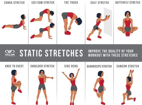 Warm Up Stretches Static