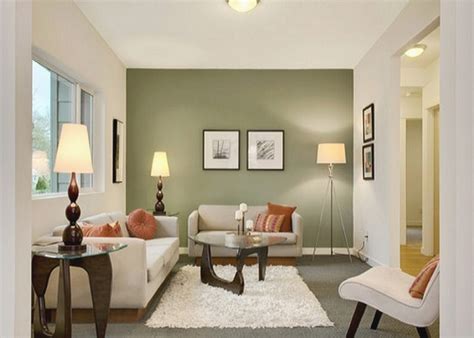 ツ 55+ kombinasi warna cat dinding ruang tamu minimalis elegan