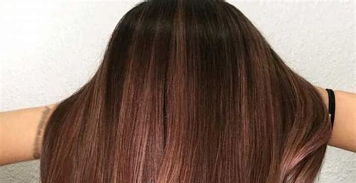 Warna Rambut Chestnut untuk Para Wanita