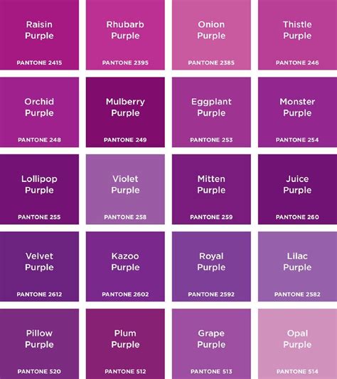 Warna Ungu dan Lilac