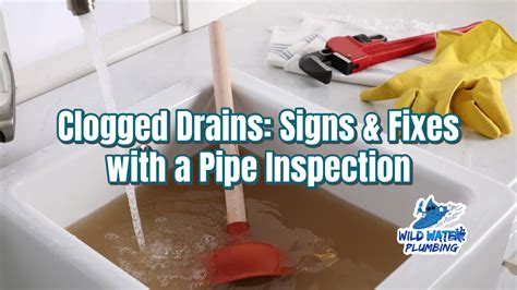 Warning Signs of Clogged Drains
