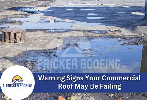 Warning Signs of Commercial Roofing Damage