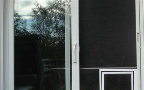 Warning Signs of Damaged Pet Screens