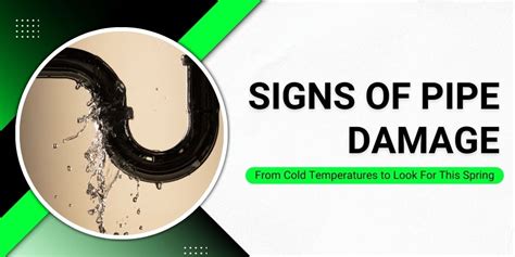 Warning Signs of Pipe Damage